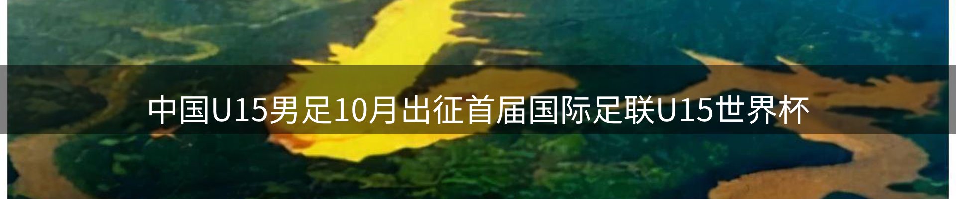 市场观察