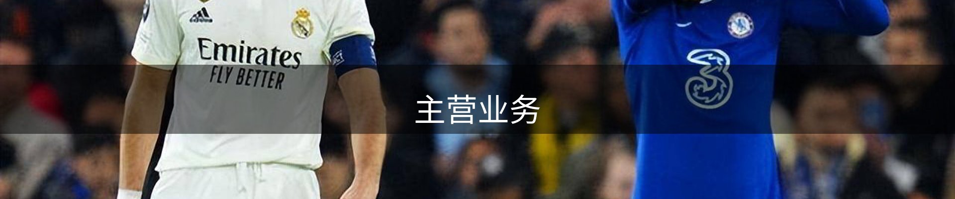 主营业务