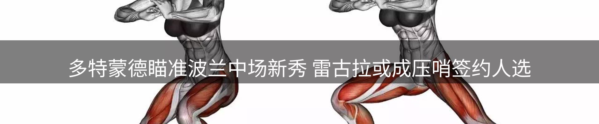 市场观察