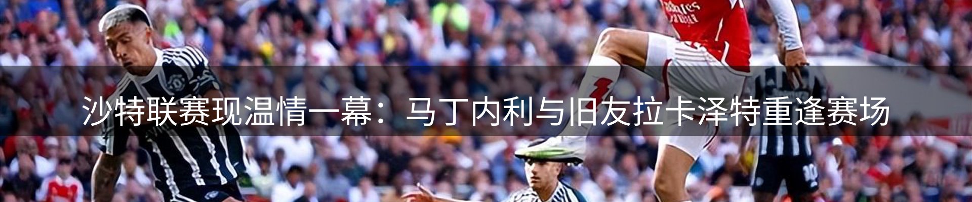 市场观察